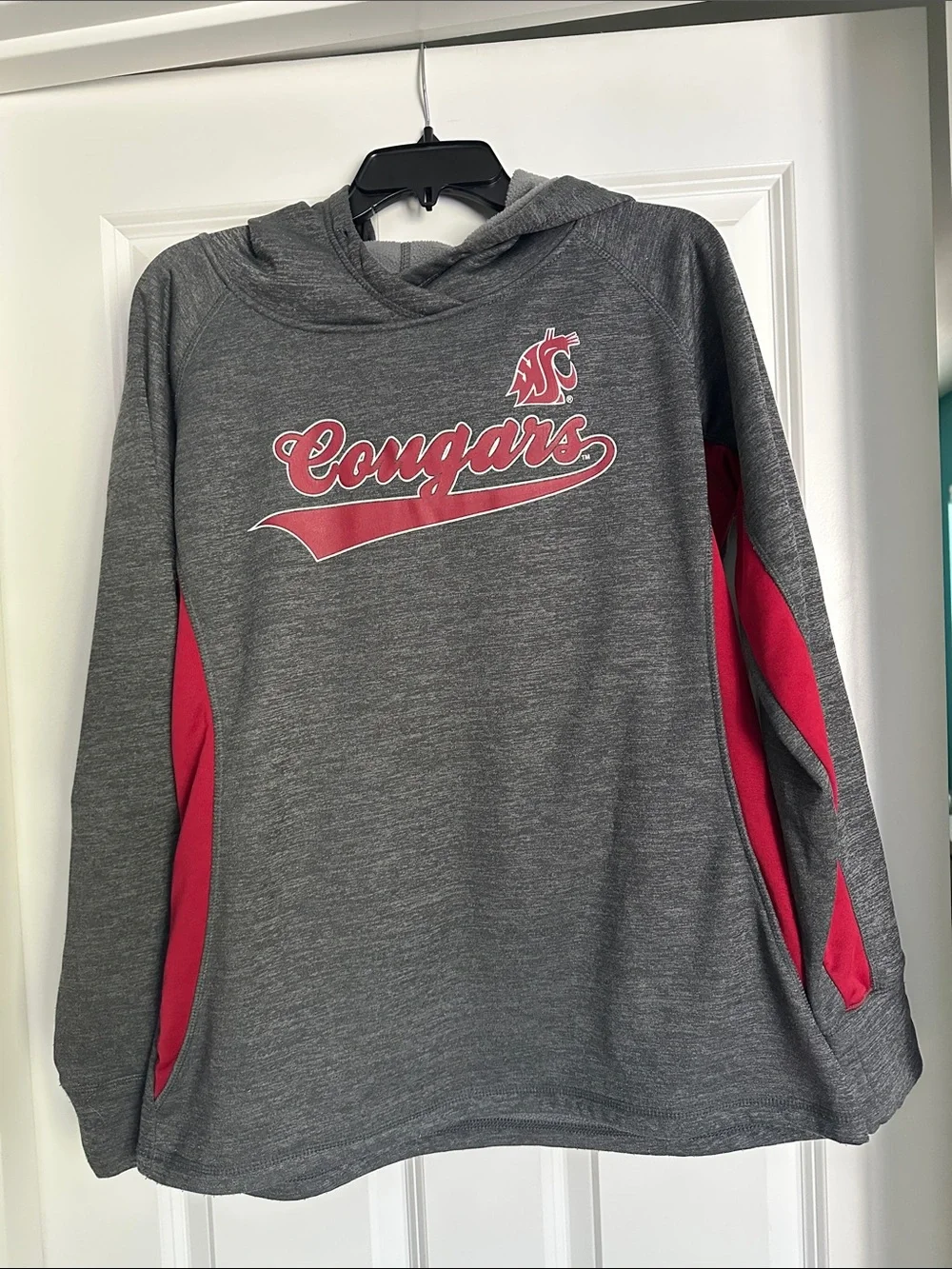 WSU Cougars Colosseum hoodie